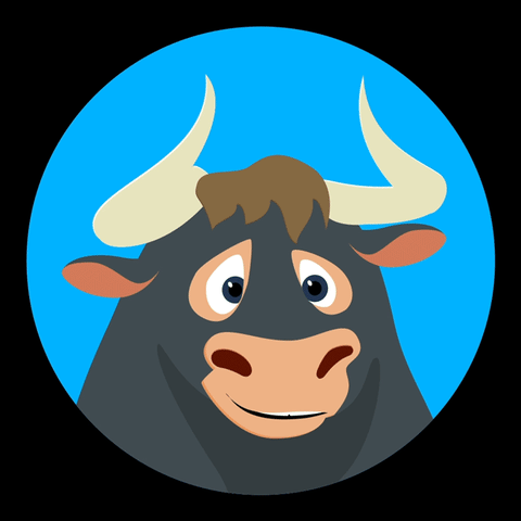 Bull Run 